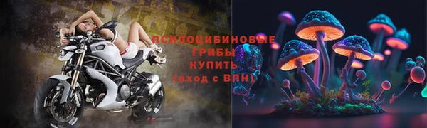 mdpv Тобольск