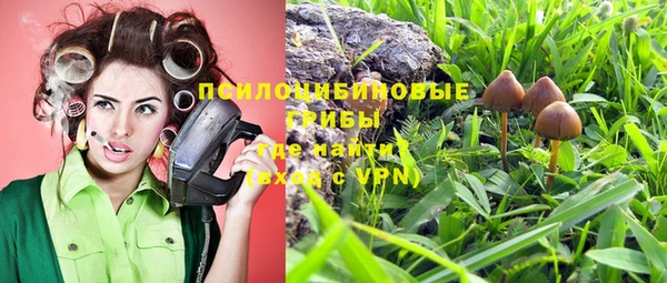 mdpv Тобольск