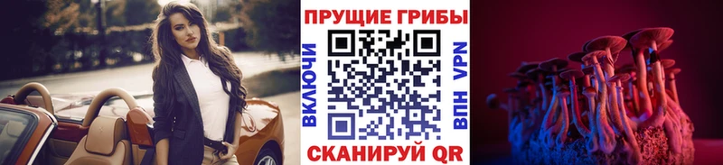 Галлюциногенные грибы прущие грибы закладки Навашино
